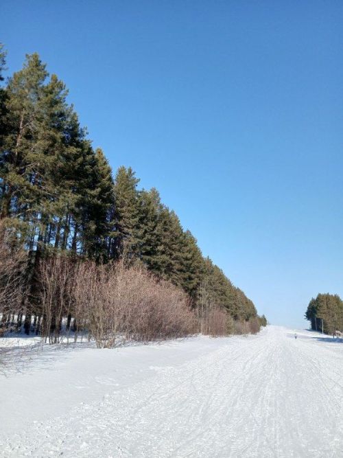 Прогноз погоды на 17 декабря