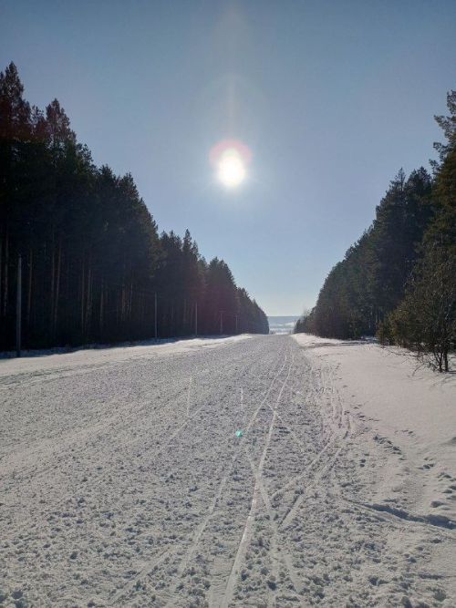 Прогноз погоды на 25 декабря