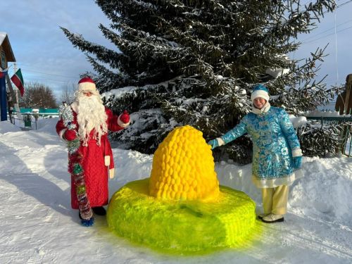 Девятерня авылында кар сыннары каршы ала