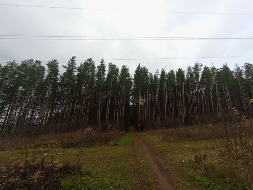 Прогноз погоды на 5 декабря в Агрызе