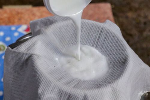 Татарстан занял лидирующие позиции по объему производства продукции сельского хозяйства в 2024 году
