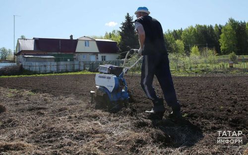 По новому закону владельцы заброшенных участков обязаны привести землю в порядок за 3 года