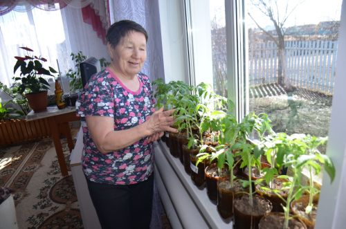Роза Ксамитова из Терсей – знатная огородница с золотыми руками