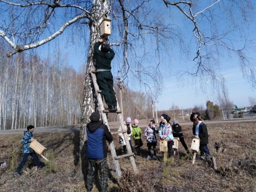 Ученики Кучуковской школы создали скворечники к Международному дню птиц