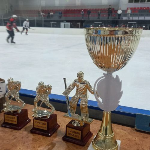 В Агрызе состоялся хоккейный турнир на Кубок ДОРПРОФЖЕЛ