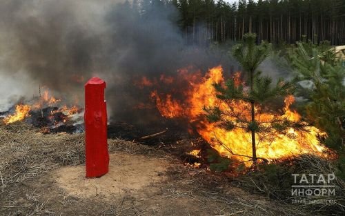 Пожароопасный сезон в Агрызском районе: запреты, штрафы до 400 тыс. и уголовная ответственность