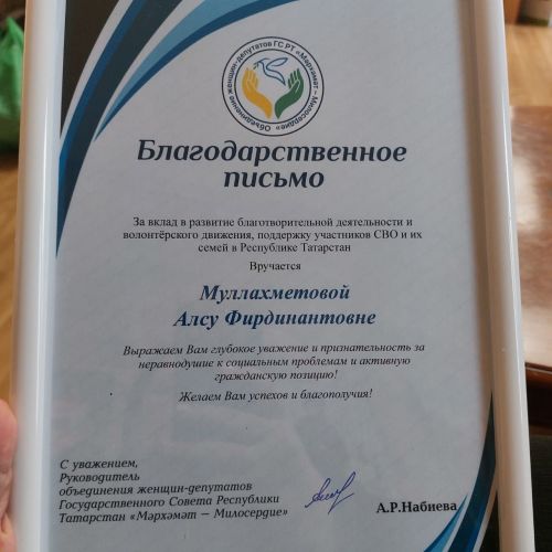 Волонтеры из Агрызского района представили уникальные антидроновые разработки на заседании в Госсовете РТ