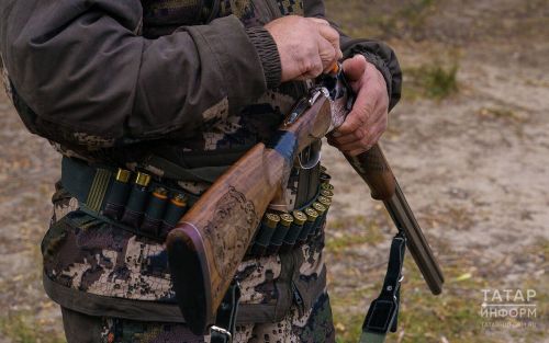 Когда откроют охоту на бурых медведей в Татарстане?