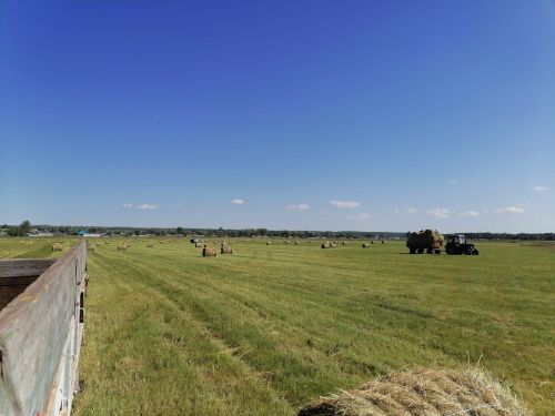 В хозяйствах Агрызского района приступили к заготовке кормов
