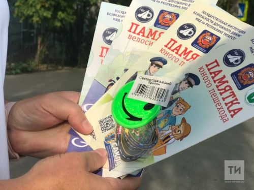 В Агрызском районе стартовала операция «Пешеход»