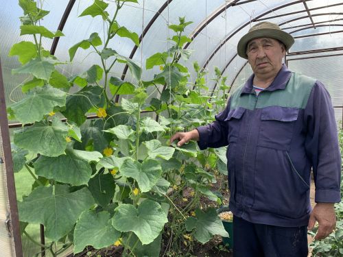 Супруги Шакировы из Агрыза: «В деревне - тишь да гладь»