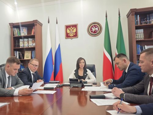 Альфия Когогина: Социальная газификация – ключевая программа для развития российских городов и сёл.
