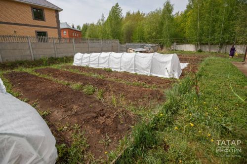 Заросли сорняков и отсутствие построек: когда участок признают неиспользуемым