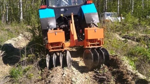 Уход за лесными культурами в Татарстане охватил почти 11 тысяч гектаров