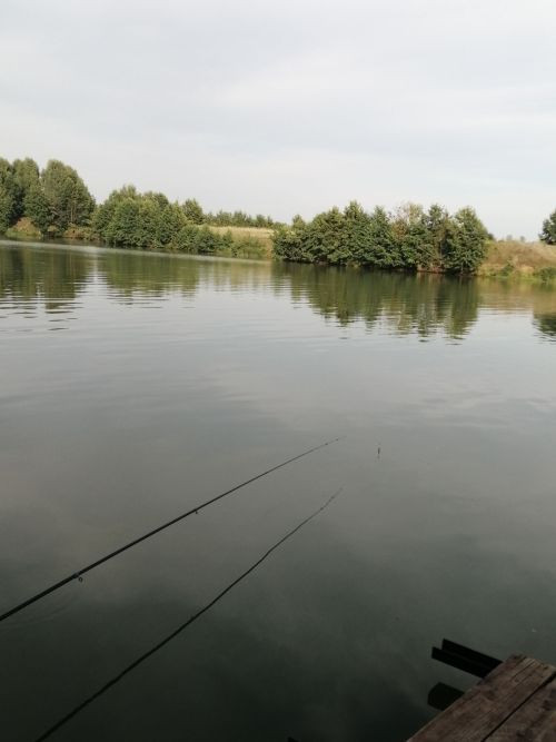 Прогноз погоды на 7 августа в Агрызе