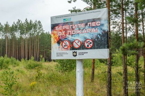 В лесах Агрызского района установился четвертый класс пожарной опасности