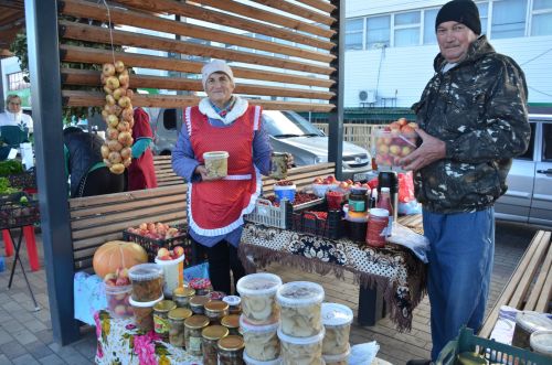 В единый день голосования в Агрызе проходит первая осенняя ярмарка