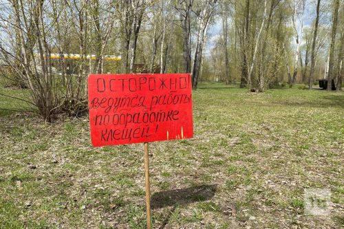 Более 12 тысяч укусов клещей зарегистрировано в Татарстане