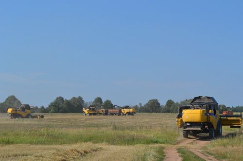 Частые дожди замедлили проведение уборочных работ в районе