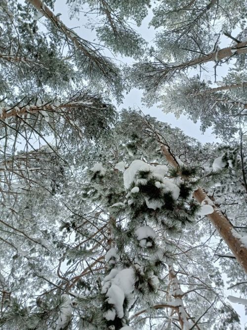 Прогноз погоды на 14 января