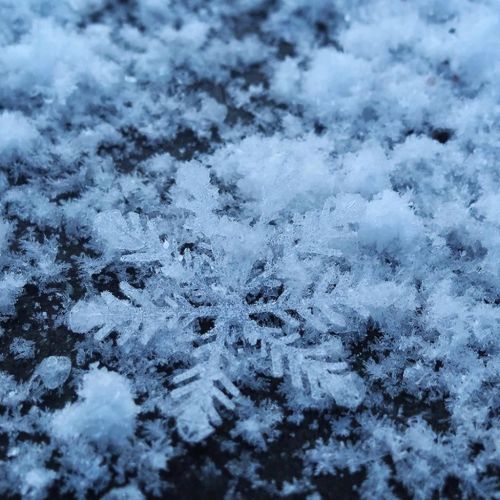 Прогноз погоды в Агрызском районе на 19 января