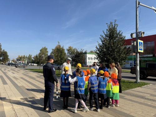 В Агрызе провели операцию «Умный пешеход»