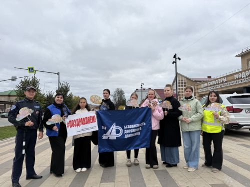 В Агрызе прошла акция «С заботой о пожилом пешеходе»