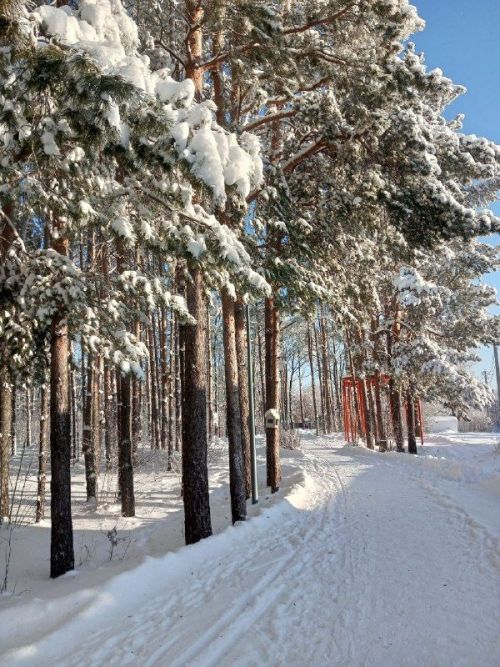 Погода в Агрызском районе на 12 февраля