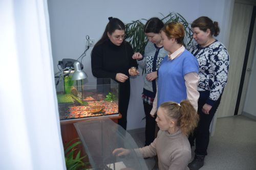 Система долговременного ухода и инклюзивный фестиваль: чем живет КЦСОН «Надежда»