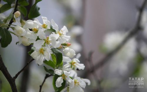 У жителей Татарстана в марте будет дважды по три выходных дня