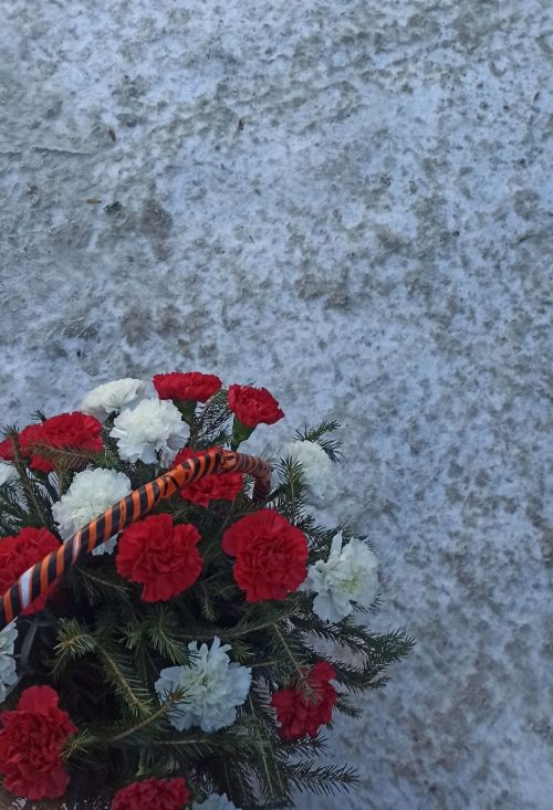В Агрызе у Вечного огня почтили память защитников Отечества