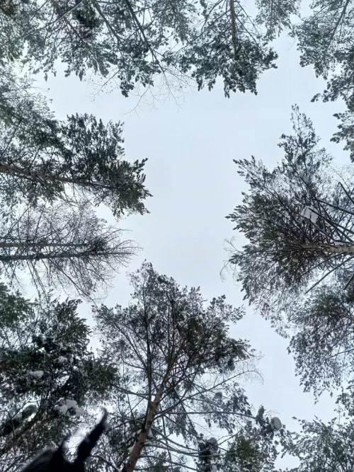 Погода в Агрызском районе на 25 февраля