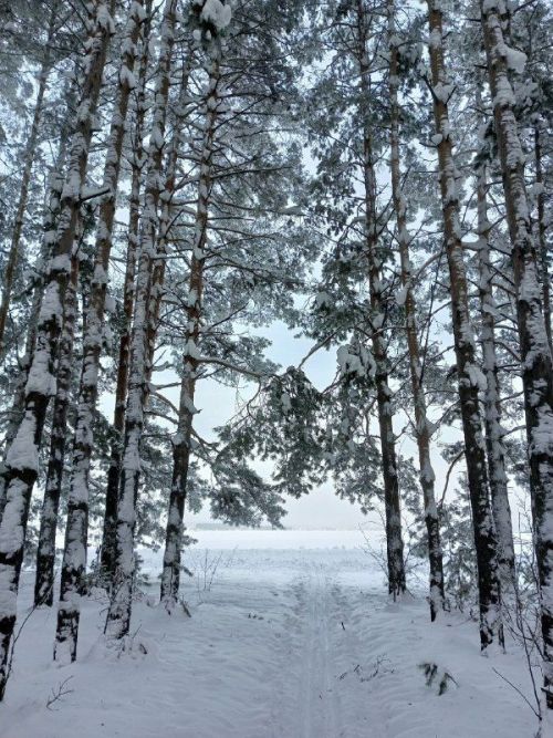 Погода в Агрызском районе на 27 февраля