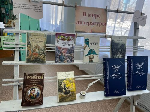 В Бимской сельской библиотеке состоялась литературная игра по «Пушкинской карте»
