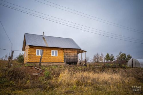 Заросло сорняками или пустует 5 лет: Росреестр РТ назвал признаки неиспользования земли