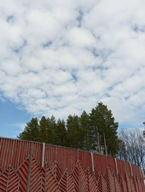 Погода в Агрызском районе 27 мая