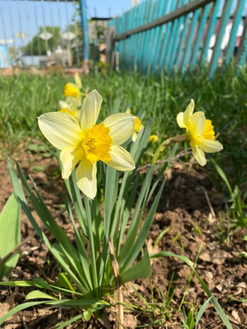 Погода в Агрызском районе на 8 мая