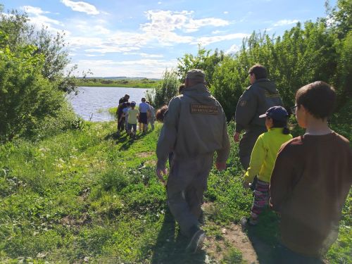 В Агрызском районе спасли и выпустили в природу европейскую болотную черепаху