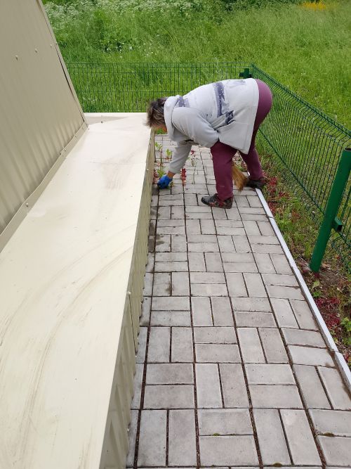 В селе Азево прошел субботник по благоустройству памятника и территории клуба