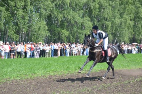 На ипподроме в рамках празднования Сабантуя в Агрызе прошли конные скачки
