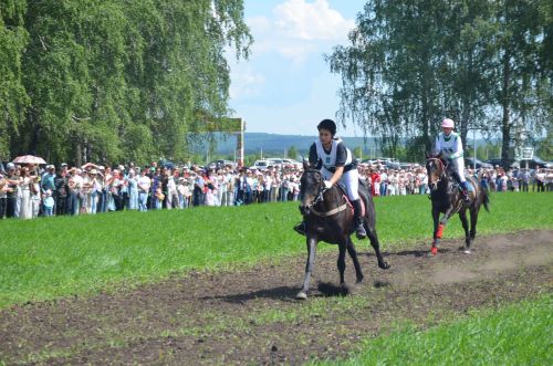 На ипподроме в рамках празднования Сабантуя в Агрызе прошли конные скачки