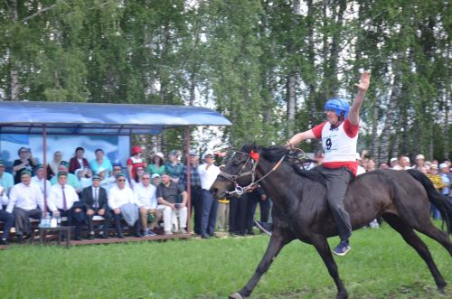 На ипподроме в рамках празднования Сабантуя в Агрызе прошли конные скачки