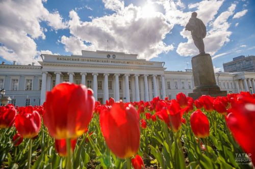Приём заявлений на бюджет в вузы завершится 25 июля