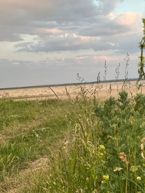 Европейский зной может добраться до России, но не раньше следующей недели