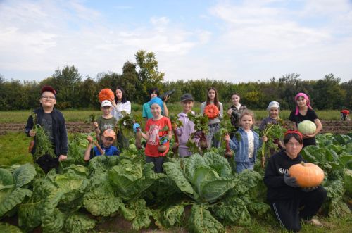 Пришкольный участок Девятернинской школы радует урожаем овощей и цветением до осени