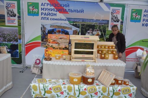 Әгерҗе районы үсештә