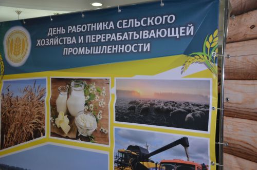 В Агрызе чествовали тружеников села