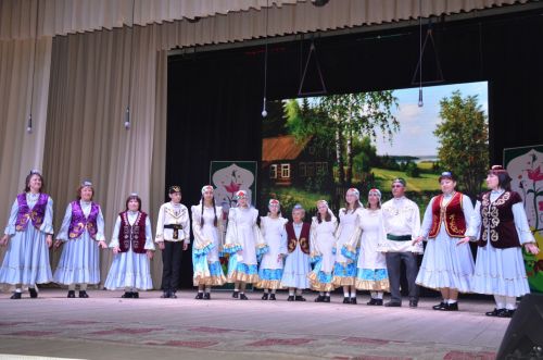 Гала-концерт районного фестиваля "Радуга культур"