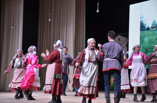 Гала-концерт районного фестиваля "Радуга культур"
