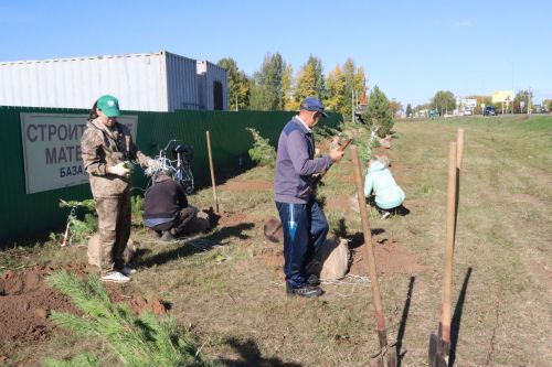 Новая аллея в честь Асафа Абдрахманова в Агрызе